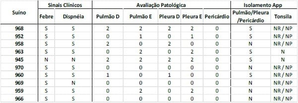 MODELO EXPERIMENTAL DE INDUÇÃO DE PLEUROPNEUMONIA POR Actinobacillus pleuropneumoniae EM SUÍNOS: ESTUDO CLÍNICO E LABORATORIAL - Image 1