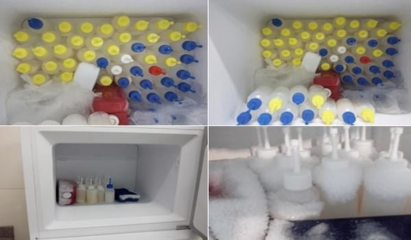 USO DO PLASMA SEMINAL SUÍNO EM MARRÃS DE 2º CIO VISANDO O AUMENTO DE LEITÕES NASCIDOS E FERTILIDADE EM FEMEAS DE 1º PARTO - Image 6