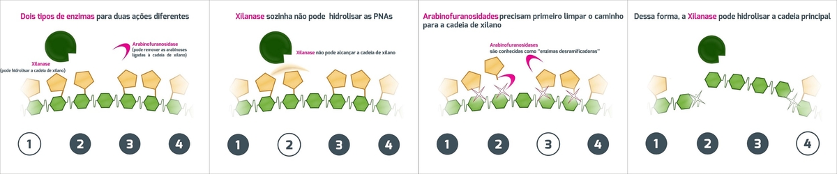 Como melhorar a eficiência alimentar atuando em três pilares - Image 2