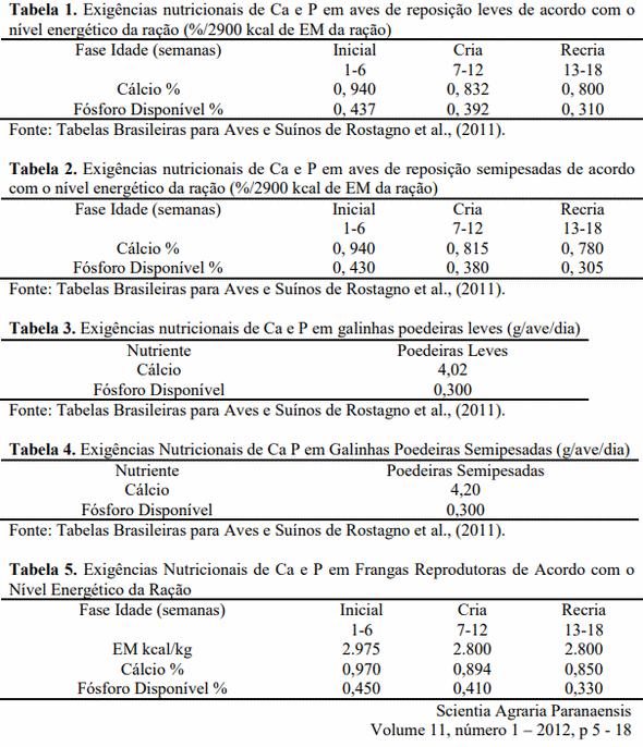 Cálcio e fósforo na dieta de galinhas de postura: uma revisão - Image 1