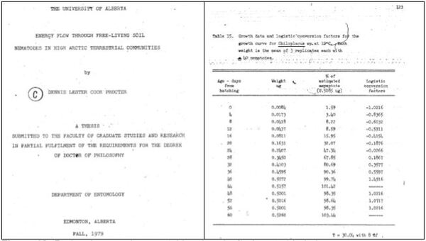 Planilha para modelagem de curvas PPM - Image 13