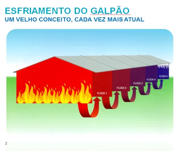 Prevenção da Doença de Gumboro: o inteligente mecanismo de ação das vacinas de imuno-complexo - Image 4