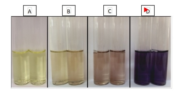 Pasteurização de ovos - Image 1