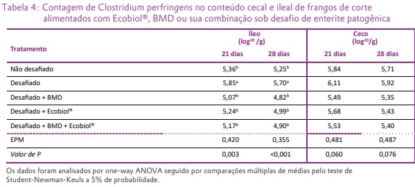 O Bacillus amyloliquefaciens CECT 5940 (Ecobiol®) isolado ou em combinação com antibióticos promotores de crescimento melhora o desempenho em frangos de corte com desafio entérico - Image 4