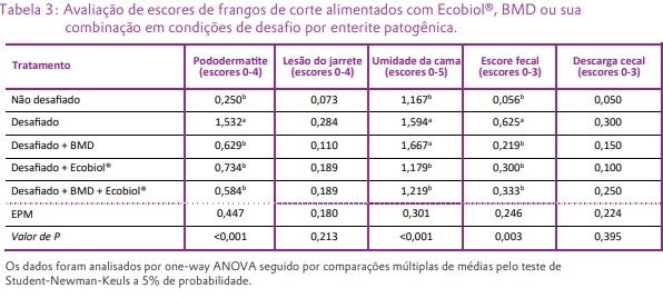 O Bacillus amyloliquefaciens CECT 5940 (Ecobiol®) isolado ou em combinação com antibióticos promotores de crescimento melhora o desempenho em frangos de corte com desafio entérico - Image 3
