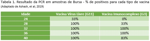 Imunização precoce contra a Doença de Gumboro - Image 1