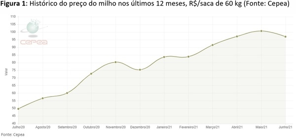 Como otimizar o custo da ração quando o preço das matérias-primas estiver alto? - Image 1