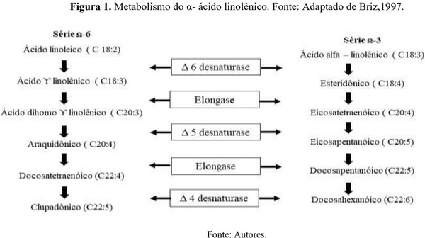 Relação do ácido linoleico e alfa linolêinico na alimentação de aves de postura: Uma revisão - Image 1