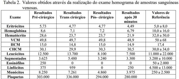 OVARIOHISTERCTOMIA EM LEITOA - Image 3