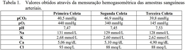 OVARIOHISTERCTOMIA EM LEITOA - Image 2