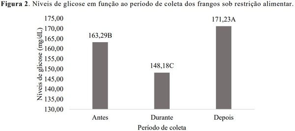 Avaliação de diferentes propostas de restrição alimentar diurna para frangos de corte - Image 4