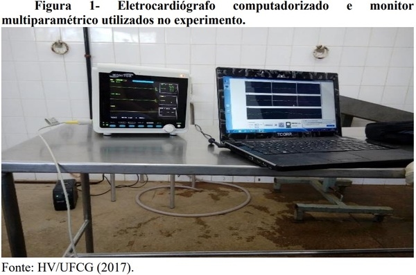 Acepromazina e/ou xilazina na sedação de suínos - Image 1