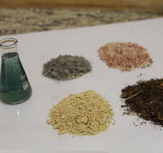 Biodisponibilidade do mineral orgânico G2 - Image 1