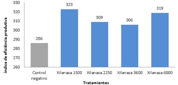 Xilanase: impacto no crescimento e saúde intestinal de frangos de corte - Image 3