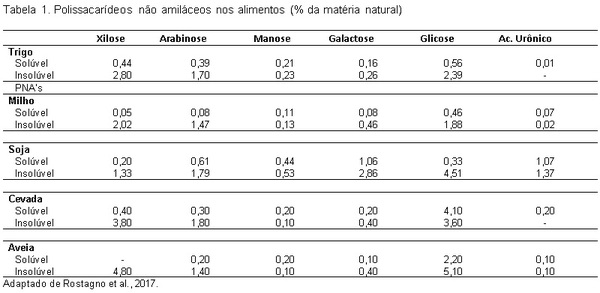 Xilanase: impacto no crescimento e saúde intestinal de frangos de corte - Image 1