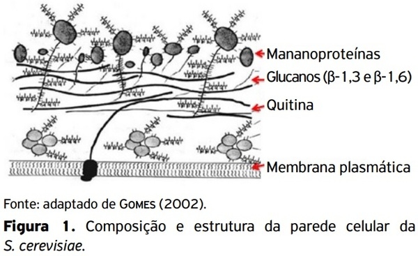 Uso de aditivo alimentar equilibrador da flora intestinal em aves de corte e de postura - Image 1