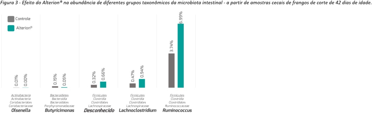 Abordagem holística de 3 passos em como melhorar a saúde intestinal em animais: Parte 3 - Image 1