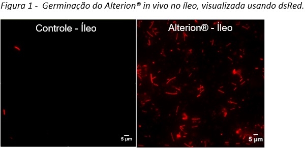 Abordagem holística de 3 passos em como melhorar a saúde intestinal em animais: Parte 3 - Image 1