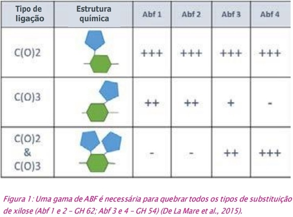 Arabinofuranosidases: a revolução para aumentar a eficácia das xilanases - Image 2
