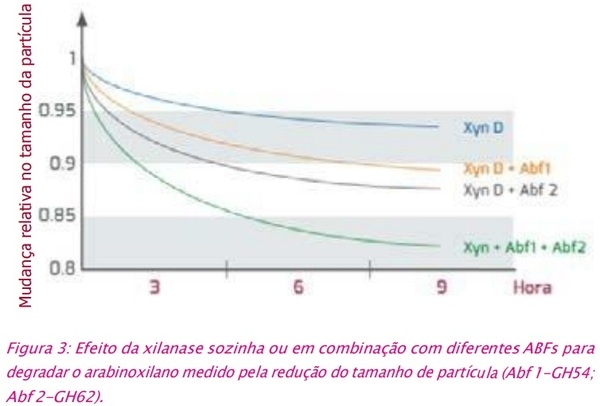 Arabinofuranosidases: a revolução para aumentar a eficácia das xilanases - Image 4