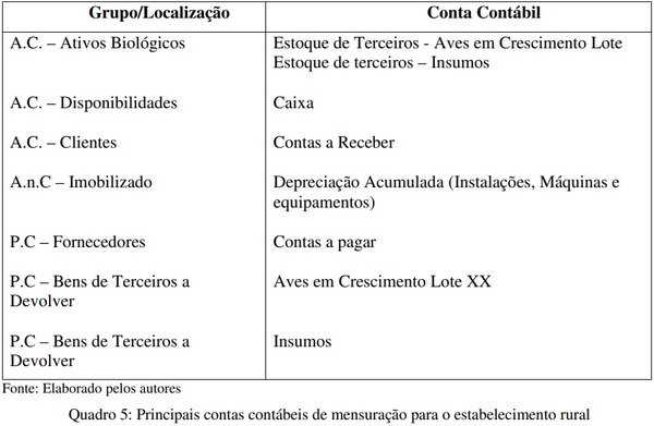Análise da mensuração contábil dos custos da atividade avícola no sistema de parceria - Image 5