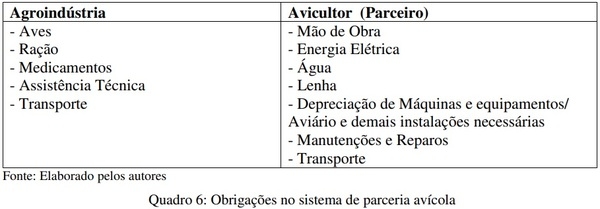 Análise da mensuração contábil dos custos da atividade avícola no sistema de parceria - Image 6