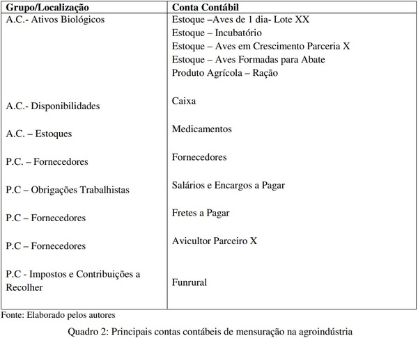 Análise da mensuração contábil dos custos da atividade avícola no sistema de parceria - Image 2