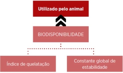 Minerais orgânicos diminuem a incidência de pododermatite em frangos de corte - Image 20