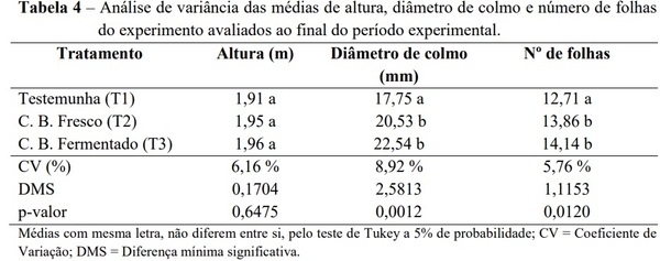 Produtividade de milho para silagem com utilização do Compost Barn - Image 4