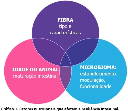 Estimbióticos: um elemento essencial das estratégias de resiliência nutricional - Image 1