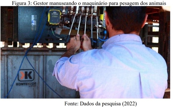 ADOÇÃO DO USO DE TECNOLOGIA: O IMPACTO NOS RESULTADOS DA PECUÁRIA DE CORTE NO CONFINAMENTO PONTAL - Image 3