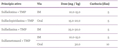 Quais as formas de uso de antimicrobianos em suínos? - Image 15