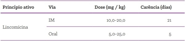 Quais as formas de uso de antimicrobianos em suínos? - Image 7