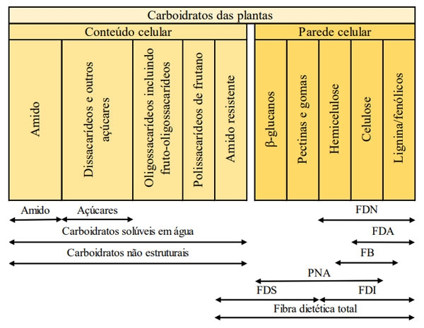 Figura 1. Caracterização dos carboidratos com base no método analítico (Adaptado de NRC, 2012)