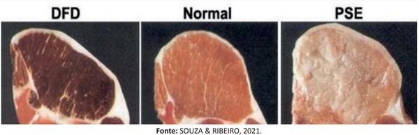 Entendendo o bem-estar animal e sua associação a produção de suínos criados livre de Gaiolas - Image 1