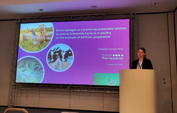 Bactérias como uma promissora solução para controle Salmonella - Image 2