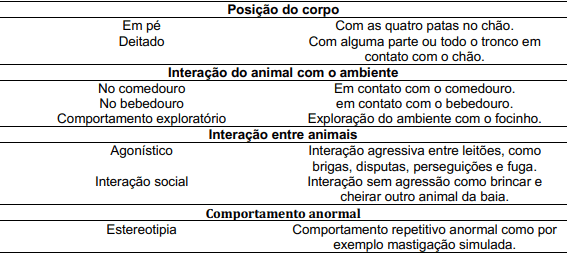 Comportamento de suínos em fase de terminação em diferentes tipos de piso - Image 4