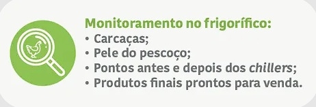 Como avaliar corretamente a redução de Salmonela spp. em frangos de corte - Image 5