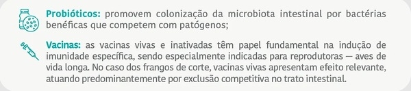 Como avaliar corretamente a redução de Salmonela spp. em frangos de corte - Image 3