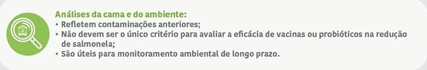 Como avaliar corretamente a redução de Salmonela spp. em frangos de corte - Image 6