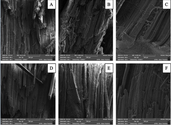Efeito de uma mistura microencapsulada de ácidos orgânicos e compostos bioativos sobre a qualidade e a avaliação visual da carne de frango de corte - Image 2