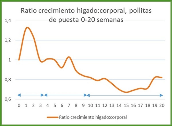 Efeito da nutrição na saúde hepática - Image 5