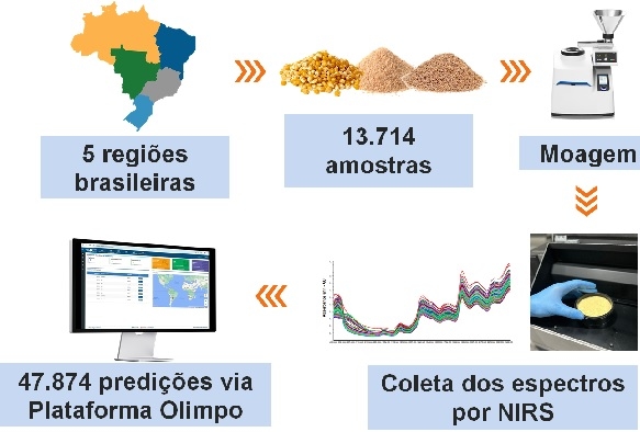 Monitoramento de micotoxinas nos principais ingredientes de rações para aves no Brasil: uso do NIRS como ferramenta de predição - Image 1