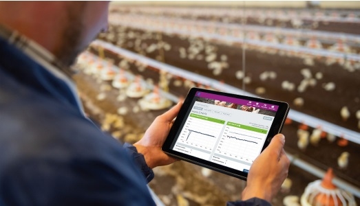 Por que o Big Data é importante para a produção de alimentos de origem animal? - Image 3