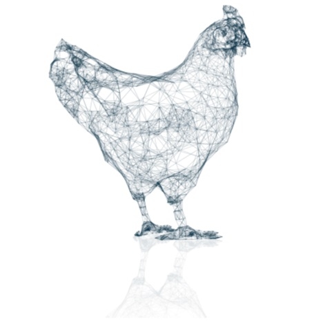 Por que o Big Data é importante para a produção de alimentos de origem animal? - Image 1