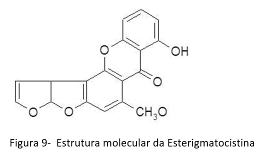 TRIGO E SUAS MICOTOXINAS Atualização – 2021 - Image 9