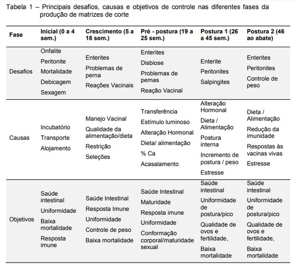 Produção de Matrizes AGP Free, Alternativas e Desafios - Image 1
