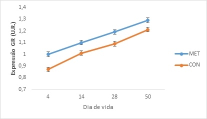 Metionina mais do que leite: Programação nutricional - Image 5
