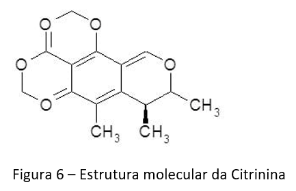 TRIGO E SUAS MICOTOXINAS Atualização – 2021 - Image 6