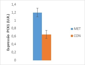 Metionina mais do que leite: Programação nutricional - Image 3